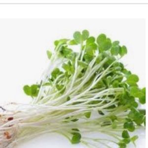 COPY Sanrio bundle for Fun